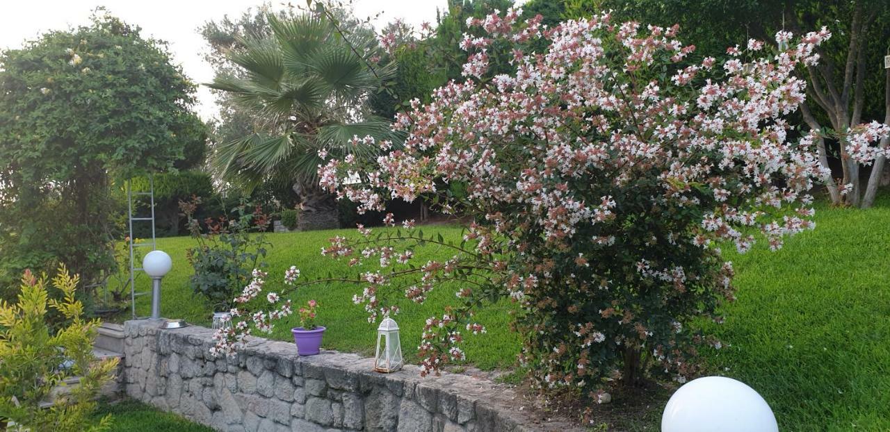 Maria'S Luxury Apartment كاساندريا المظهر الخارجي الصورة