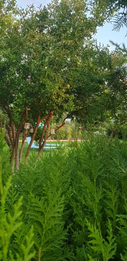 Maria'S Luxury Apartment كاساندريا المظهر الخارجي الصورة